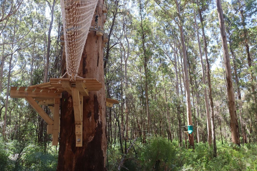 Pemberton Aerial Adventure